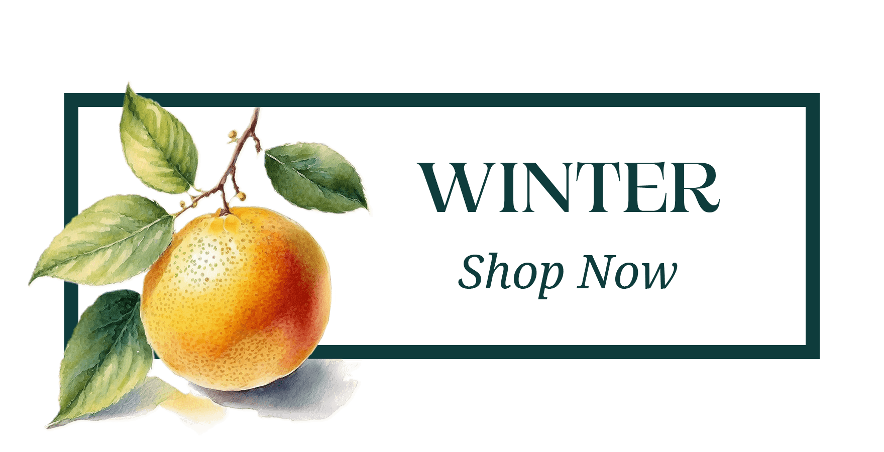 The Seasons: Winter