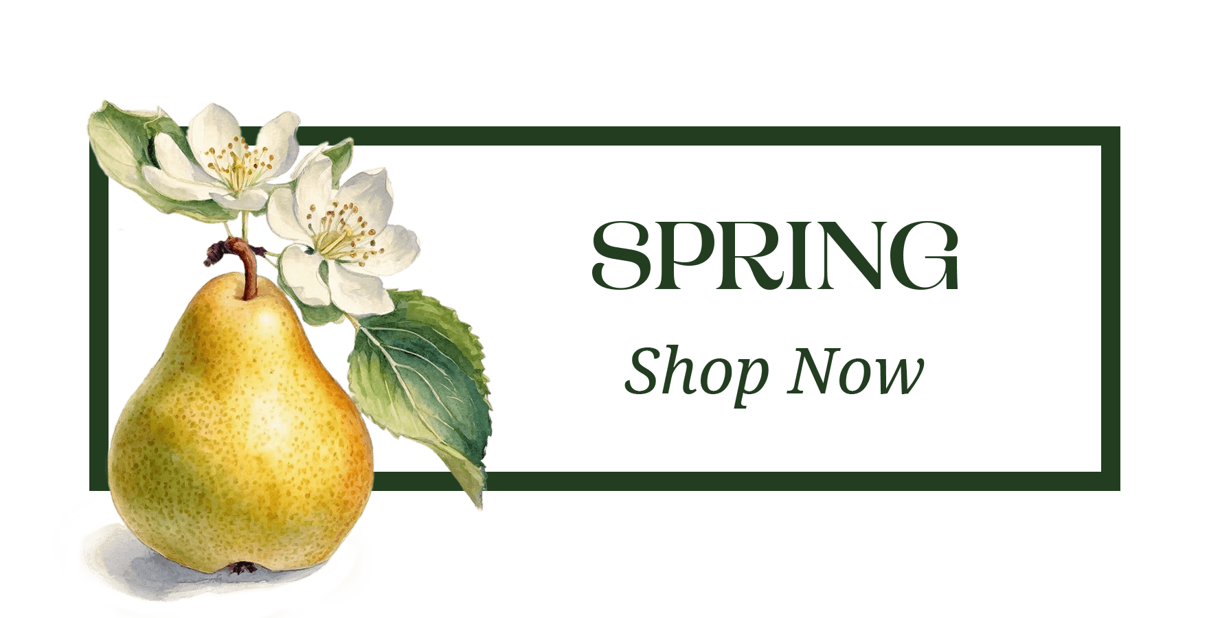 The Seasons: Spring