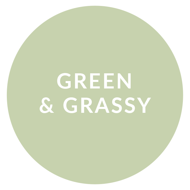 Green & Grassy