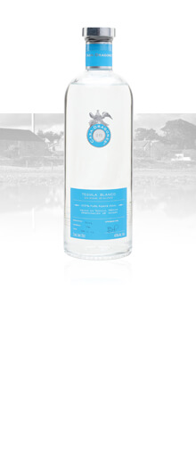 Casa Dragones Blanco Tequila / Gift Box