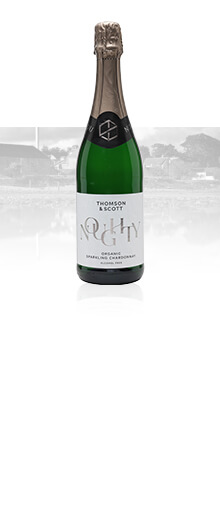 Thomson & Scott Noughty Alcohol Free Sparkling Chardonnay