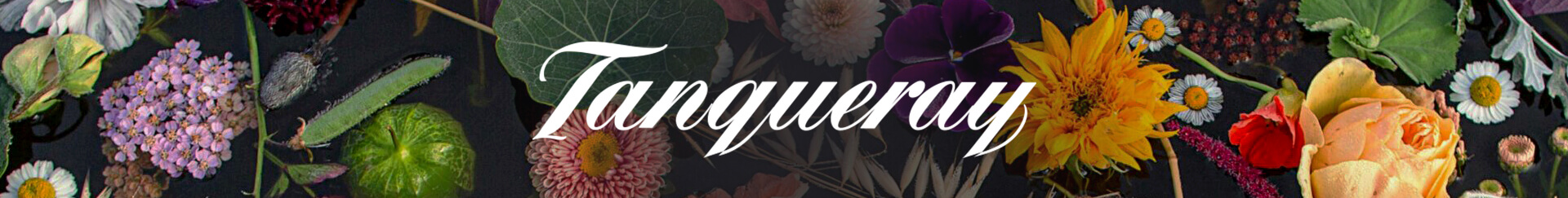 Tanqueray and Bloom & Wild