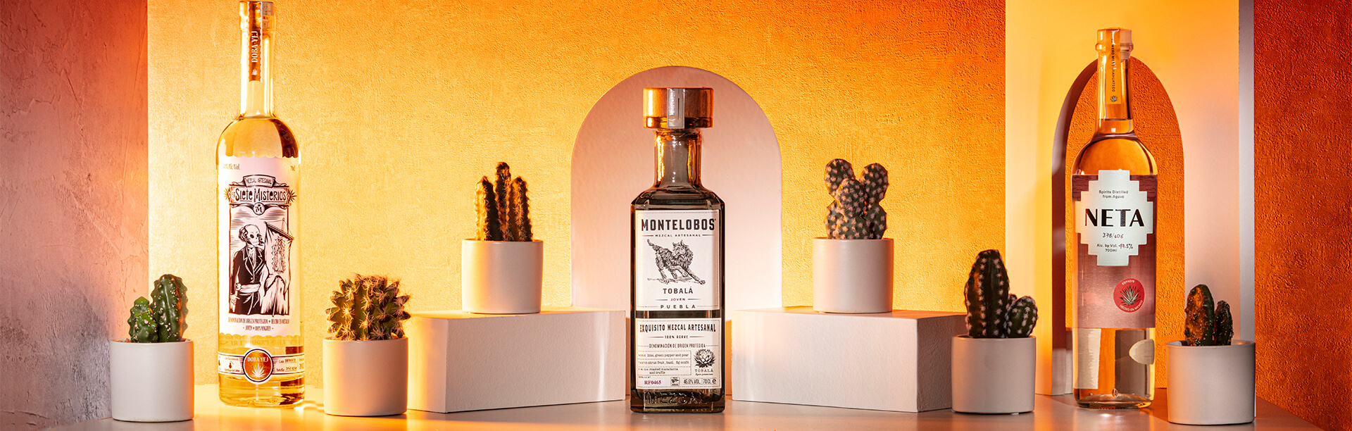 Tequila vs Mezcal