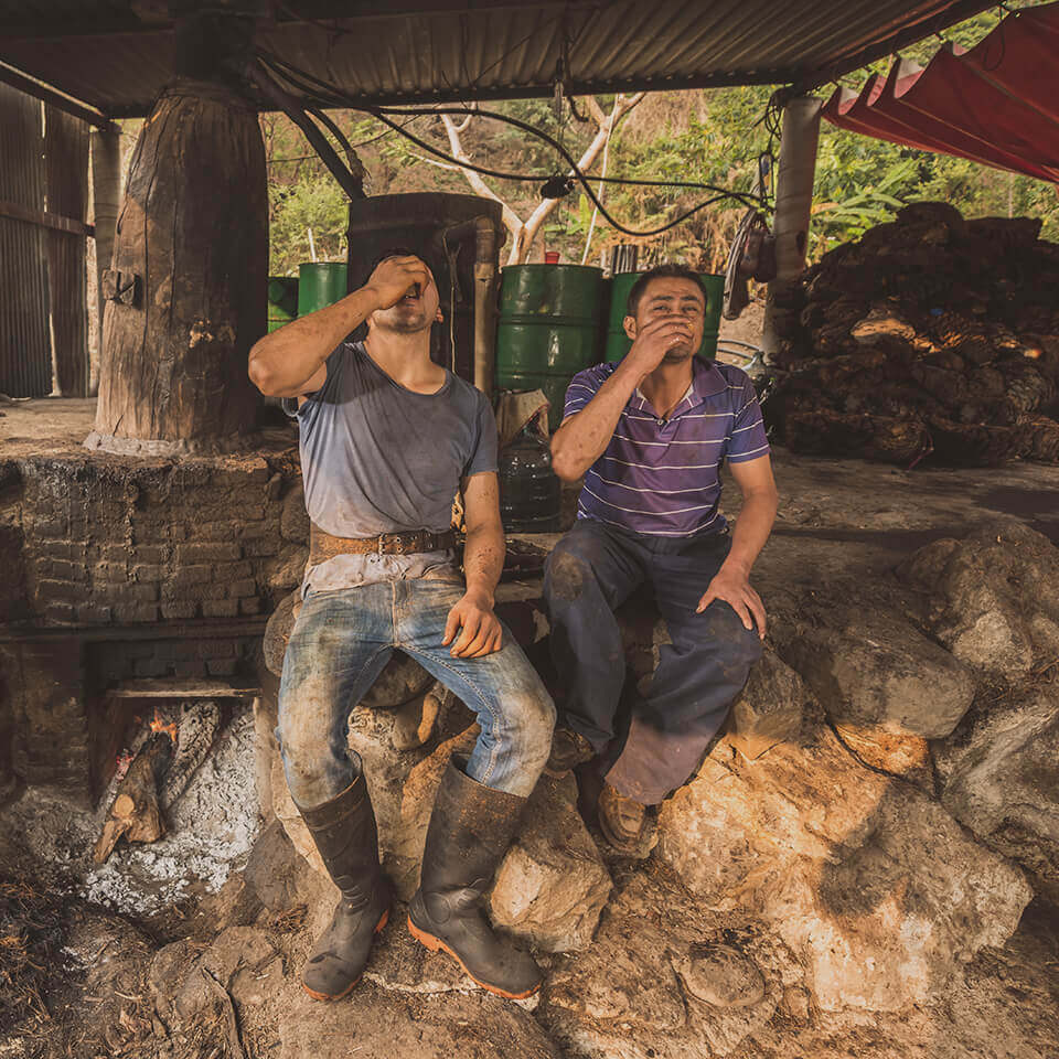 Mezcal