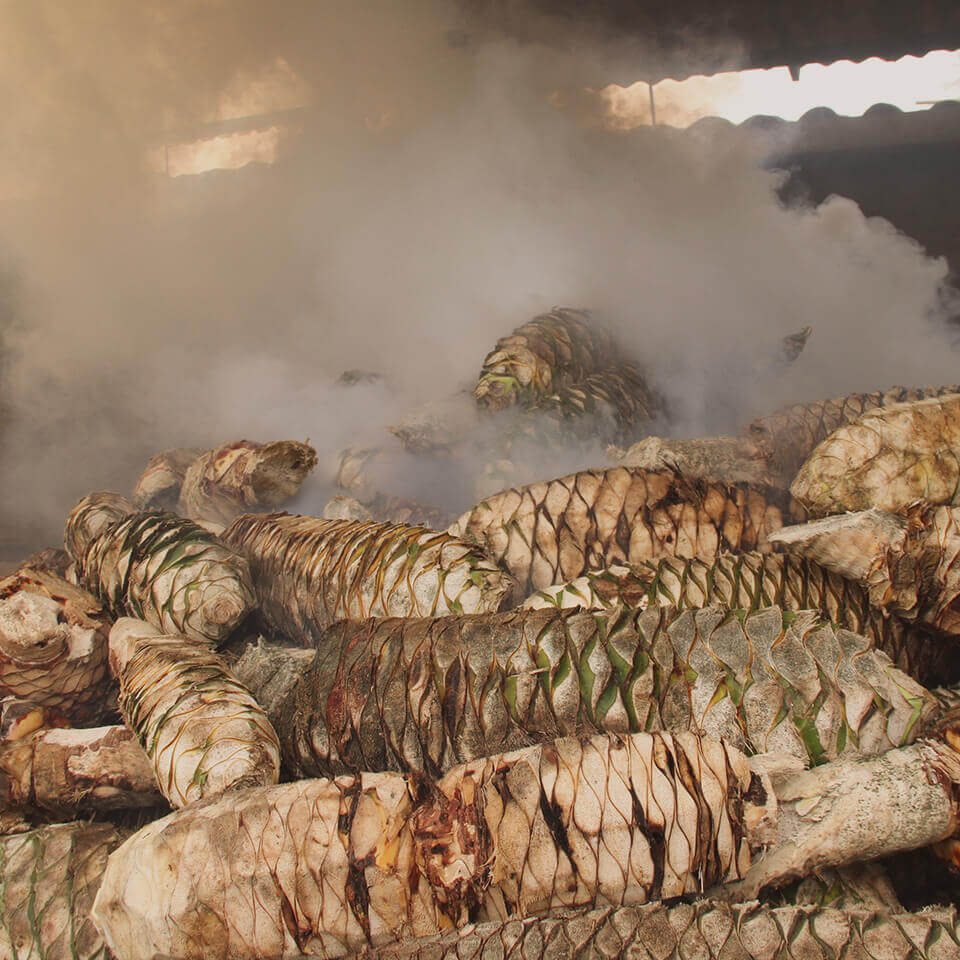 The Raw Materials