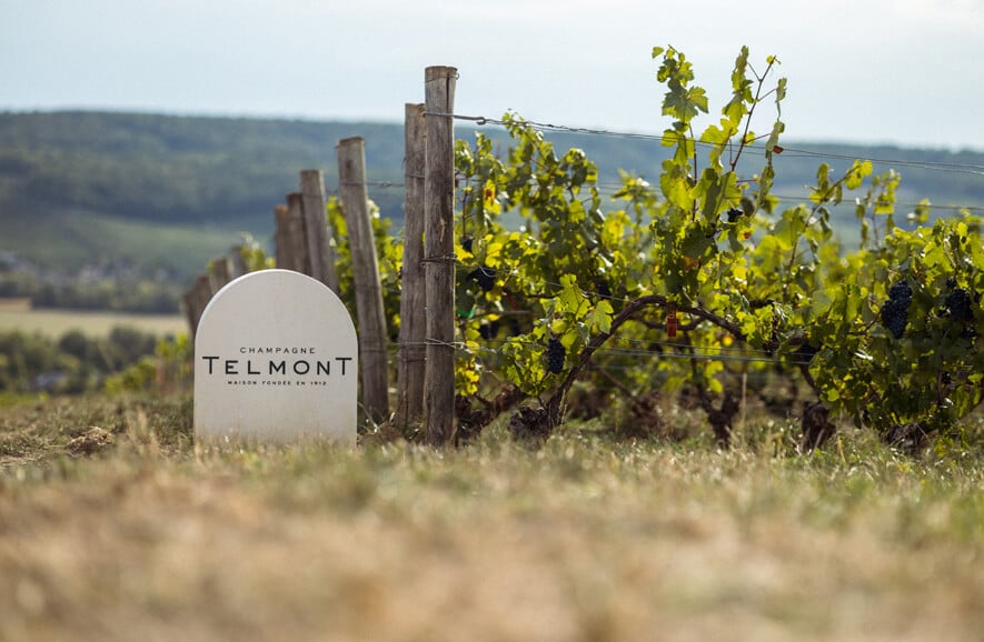 Telmont