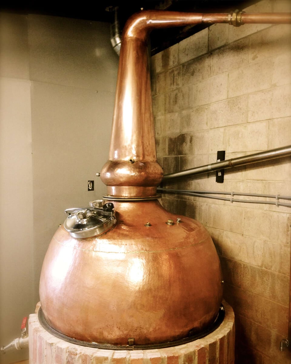 Spotlight on New Zealand Whisky