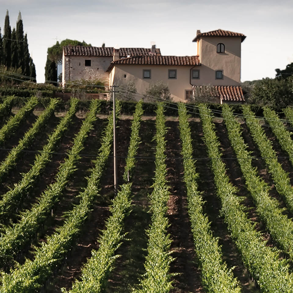 Home of the Super Tuscan Wines