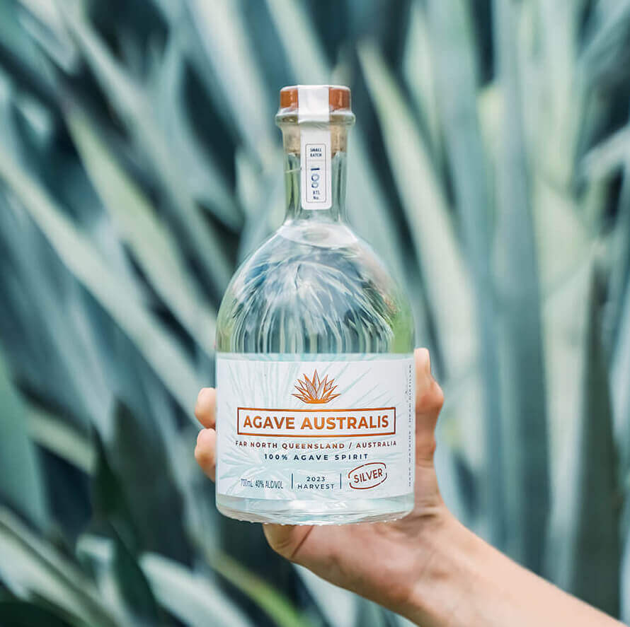 Agave Australis Silver Agave Spirit