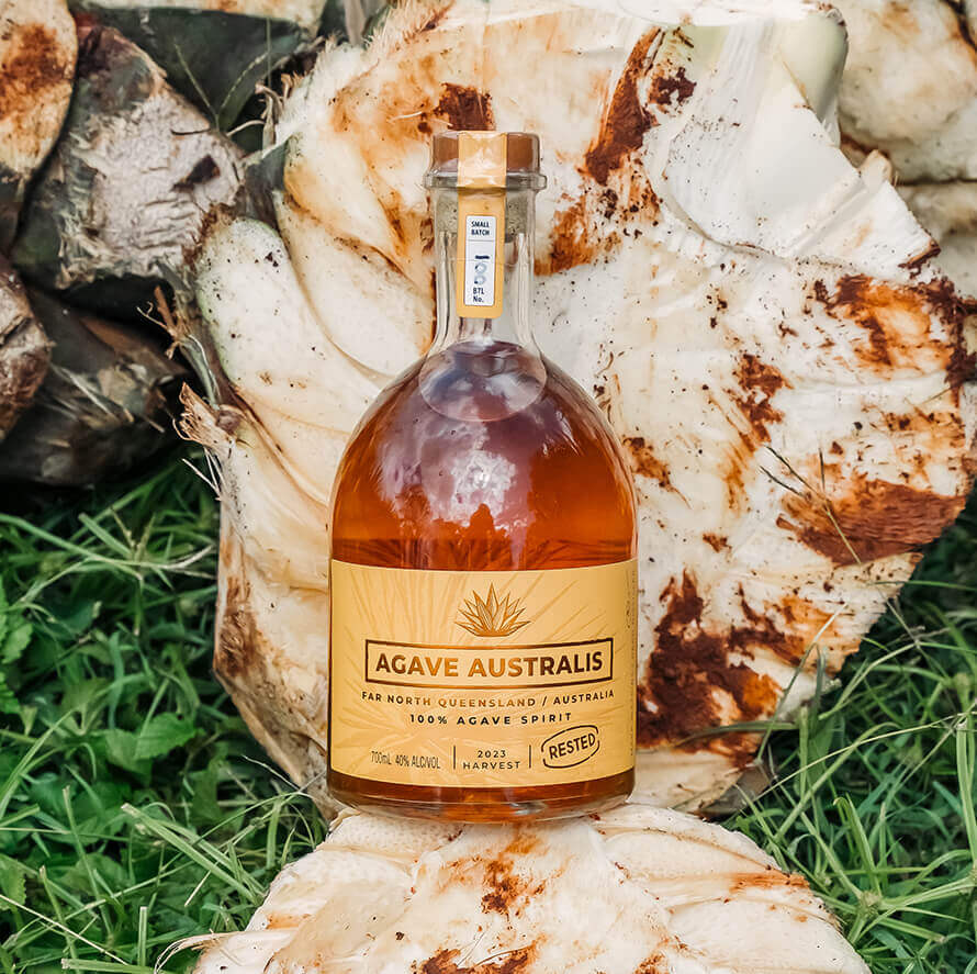 Agave Australis Rested Agave Spirit