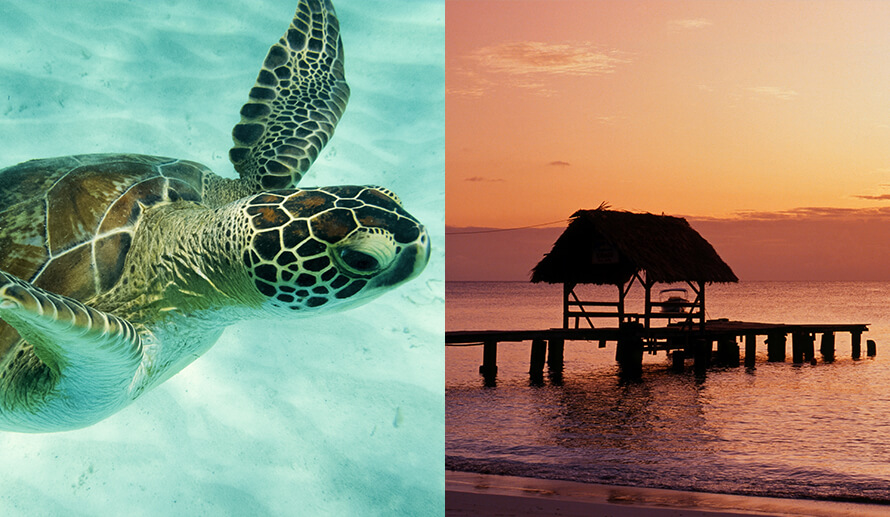 Win a Trip to Trinidad