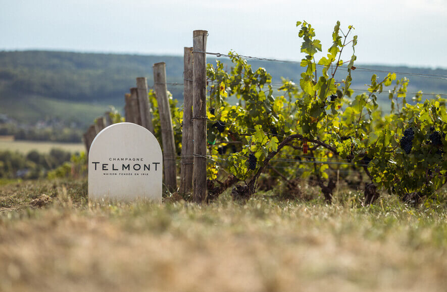 Telmont