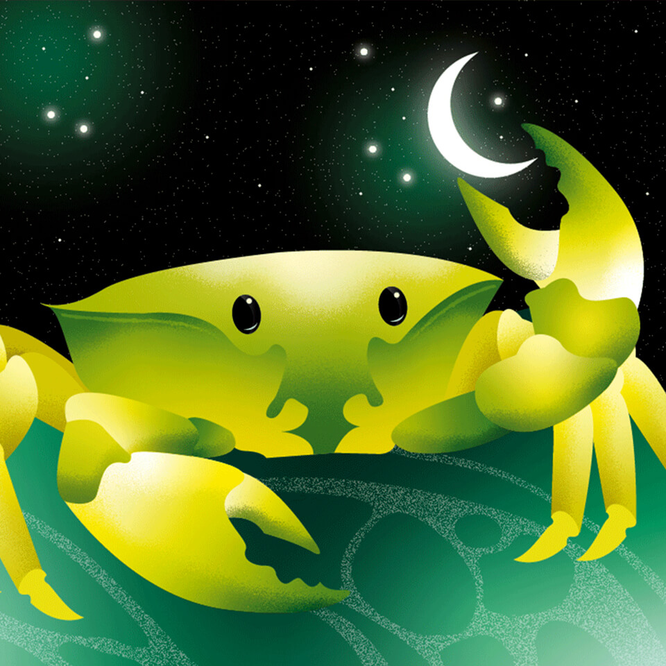 The Zodiac: Cancer
