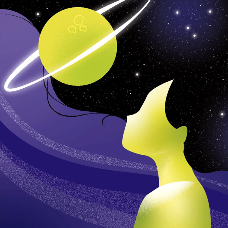 The Zodiac: Virgo