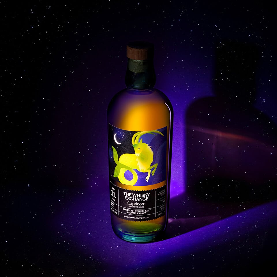 The Zodiac: Capricorn