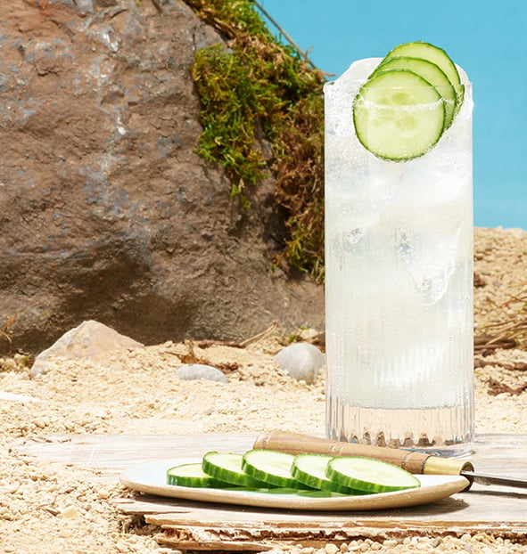 Hendrick’s Neptunia Gin