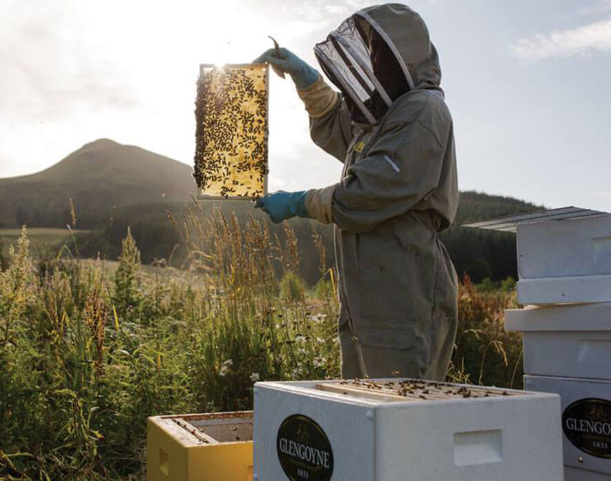 Glengoyne Sustainability