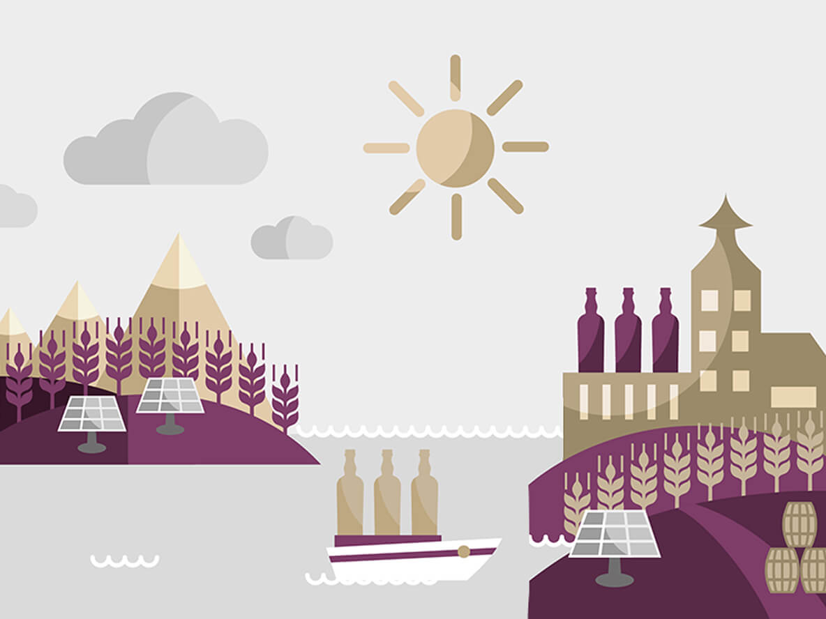 Our Commitment With Sustainability