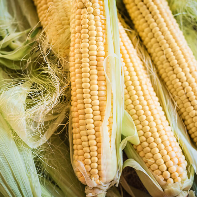 Corn Character