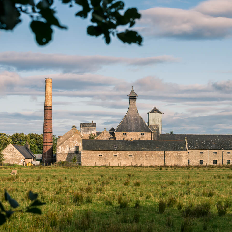Brora Triptych