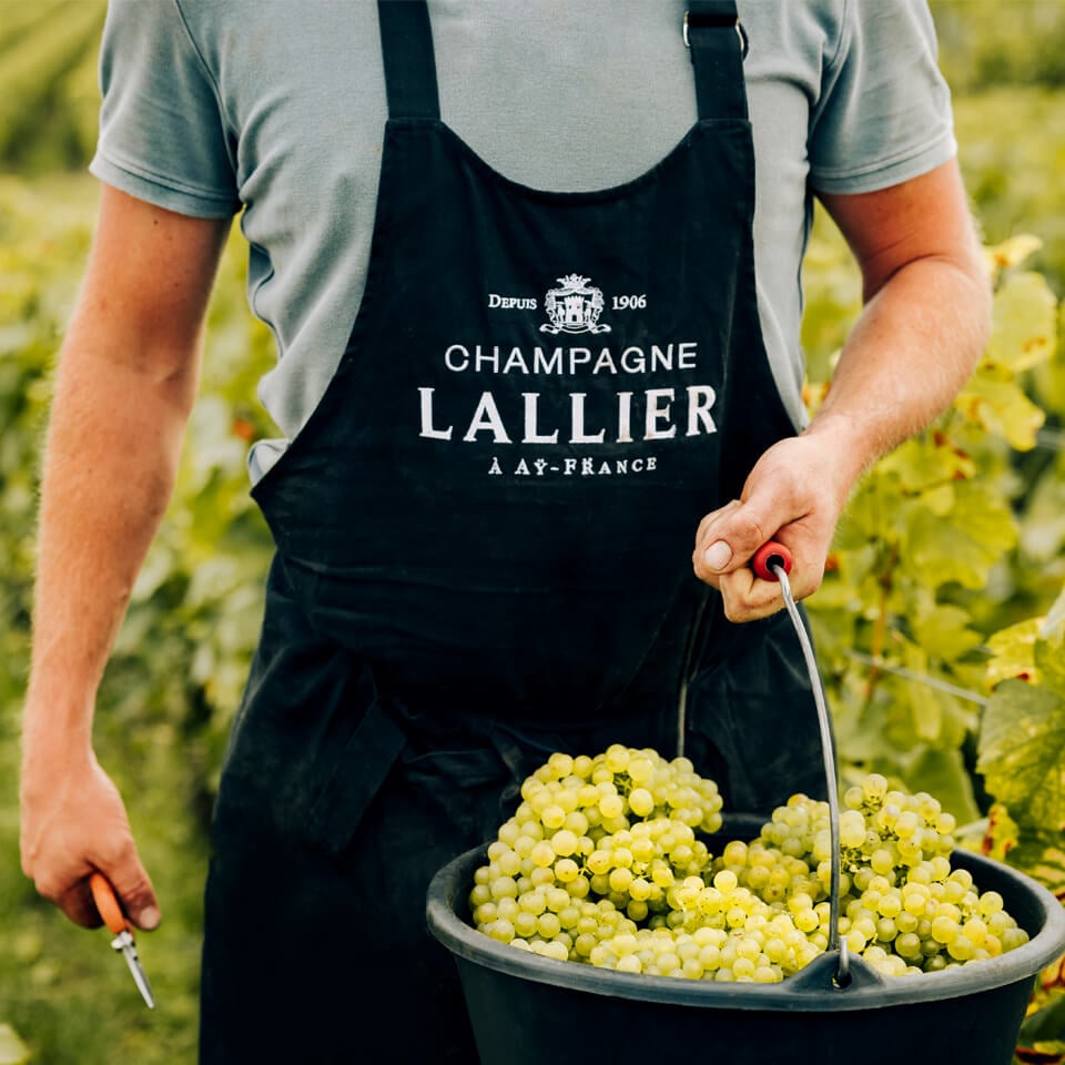 Lallier Champagne