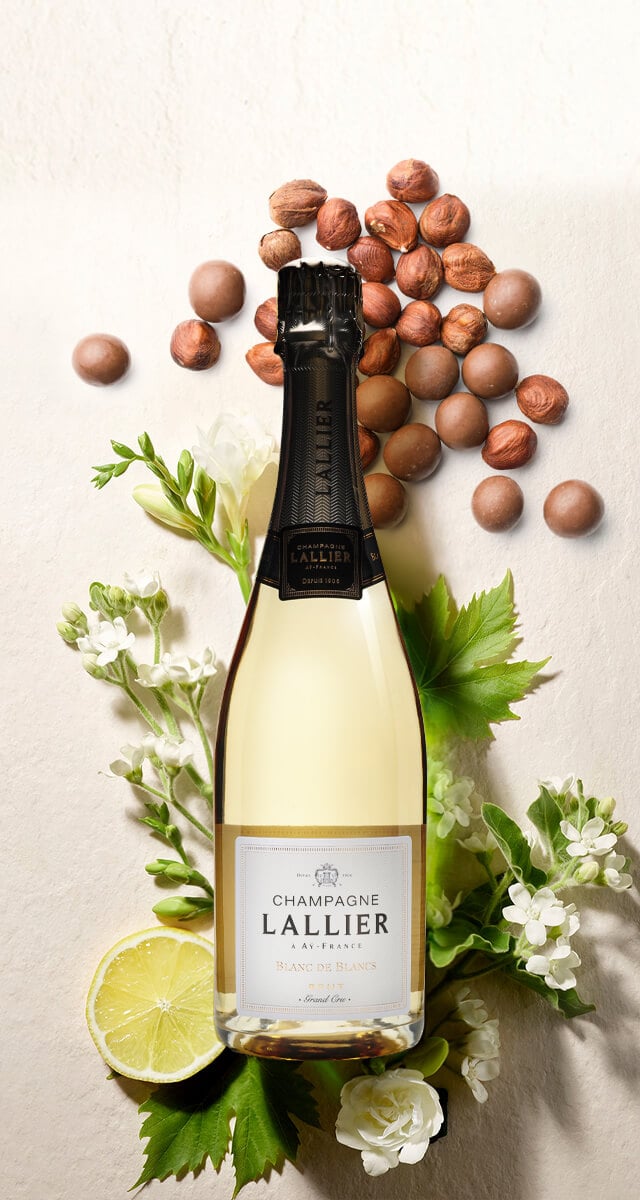 Blanc de Blancs NV Champagne