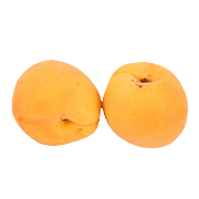 Apricot