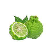 Bergamot