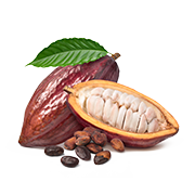 Cacao