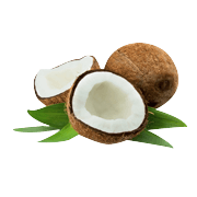 Coconut