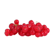 Cranberry