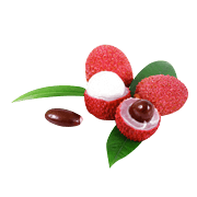 Lychee