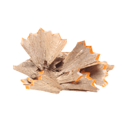 Pencil shavings