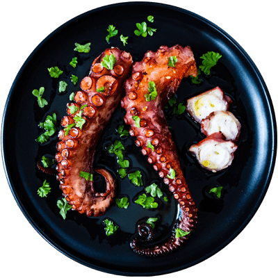 Octopus