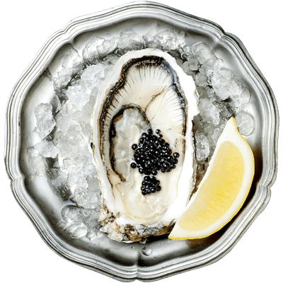 Oysters