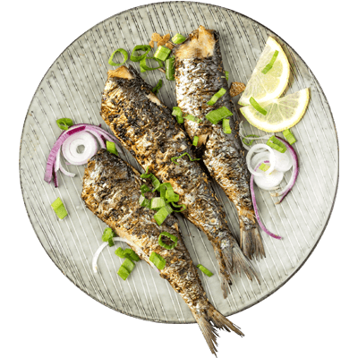 Sardines