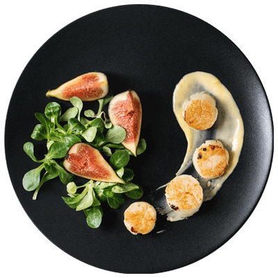 Scallops