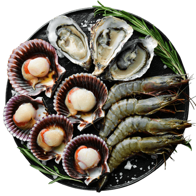 Shellfish