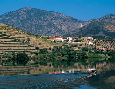 The Douro Valley, where port grapes are grown on incredibly steep terraced vineyards