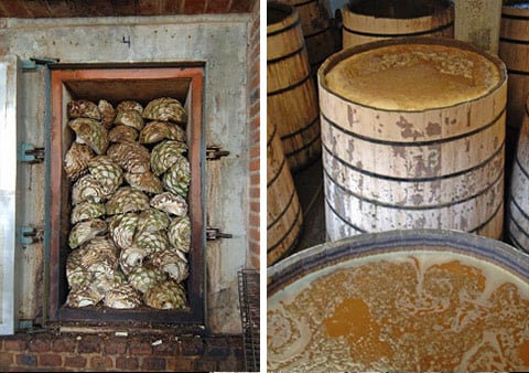 The agave hearts, or piñas, are cooked and crushed to extract their juice