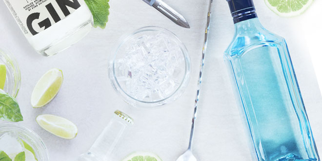 Top 10 Gins