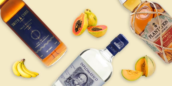 Tropical and Fruity