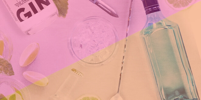 Fall Back in Love with Gin