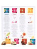 OriGINario / 16 Piece Botanical Set