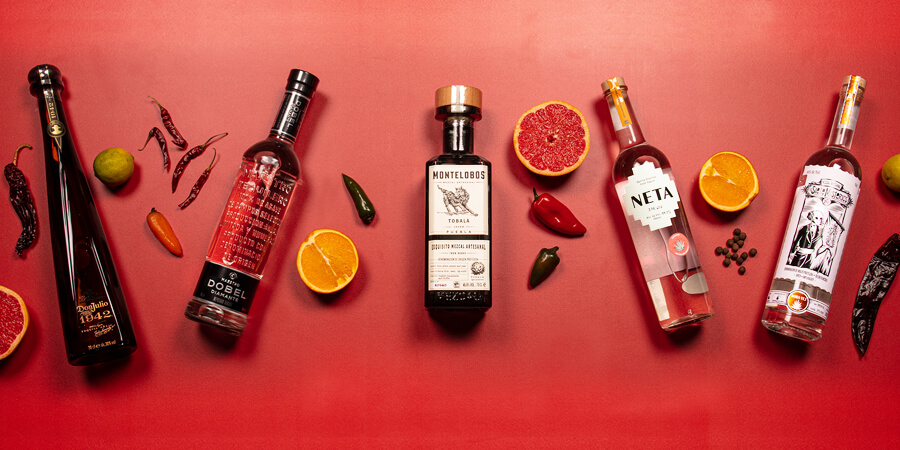 Tequila Vs Mezcal
